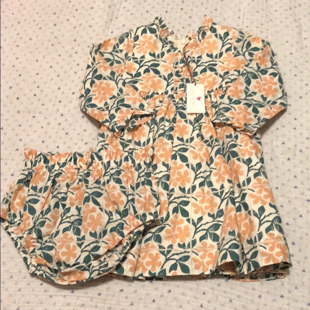 NWT Pink Chicken Toddler Girl Dress 12-18M